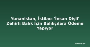 Yunanistan, İstilacı 'İnsan Dişli' Zehirli Balık İçin Balıkçılara Ödeme Yapıyor