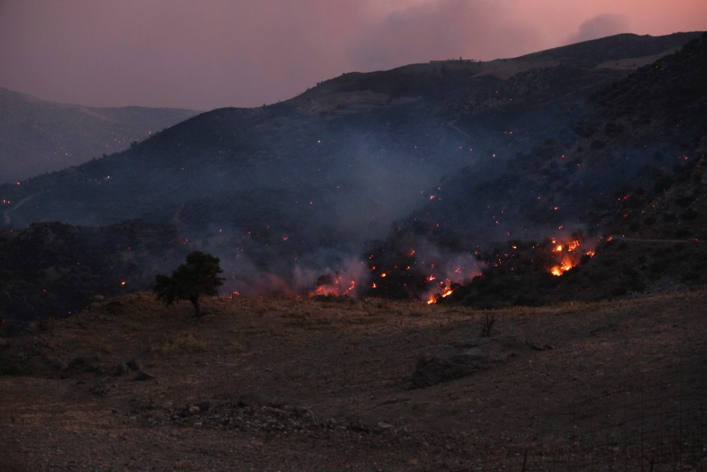 Girit'in güneyindeki Rethymno bölgesinde çıkan orman yangını, 29 Temmuz 2026 Çarşamba. Yangında iki itfaiyeci hayatını kaybetti. (AP Fotoğraf/Giannis Angelakis)