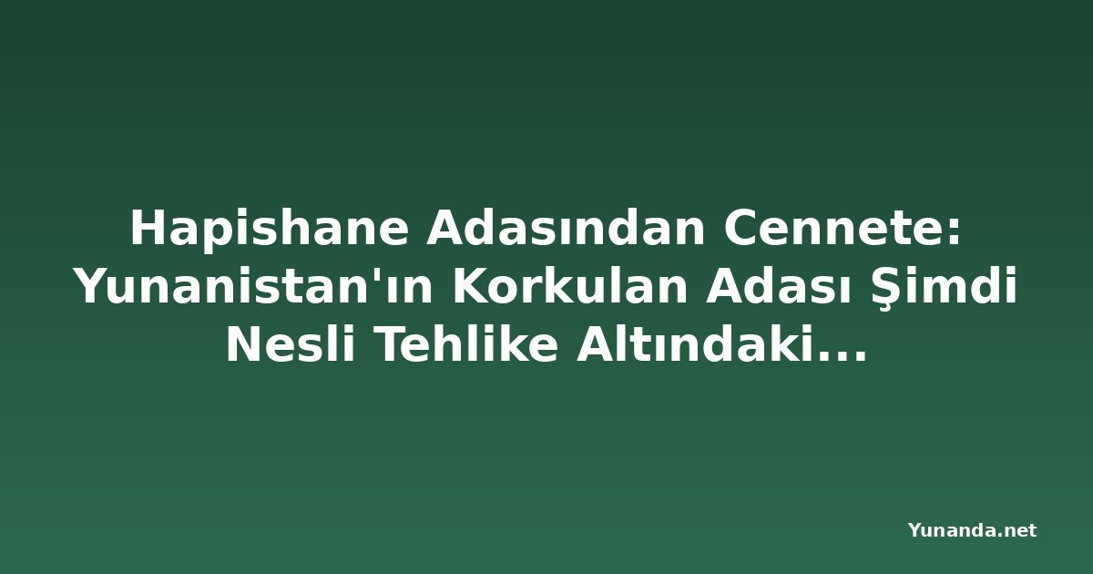 Hapishane Adasından Cennete: Yunanistan'ın Korkulan Adası Şimdi Nesli Tehlike Altındaki Fokları Koruyor