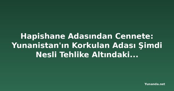 Hapishane Adasından Cennete: Yunanistan'ın Korkulan Adası Şimdi Nesli Tehlike Altındaki Fokları Koruyor