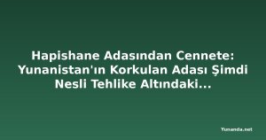 Hapishane Adasından Cennete: Yunanistan'ın Korkulan Adası Şimdi Nesli Tehlike Altındaki Fokları Koruyor