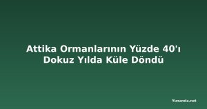 Attika Ormanlarının Yüzde 40'ı Dokuz Yılda Küle Döndü