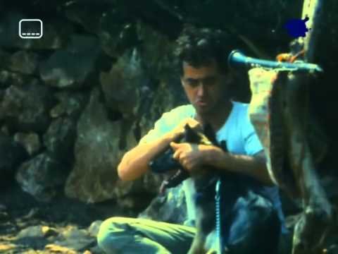 Ünlü Yunan Aktör, Yönetmen ve Şarkı Yazarı Nikos Kalogeropoulos 74 Yaşında Vefat Etti
