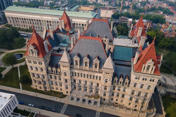 New York'ta Eyalet Meclisini Bombalamak ve Milletvekillerini Öldürmek İsteyen Kadın Suçlandı