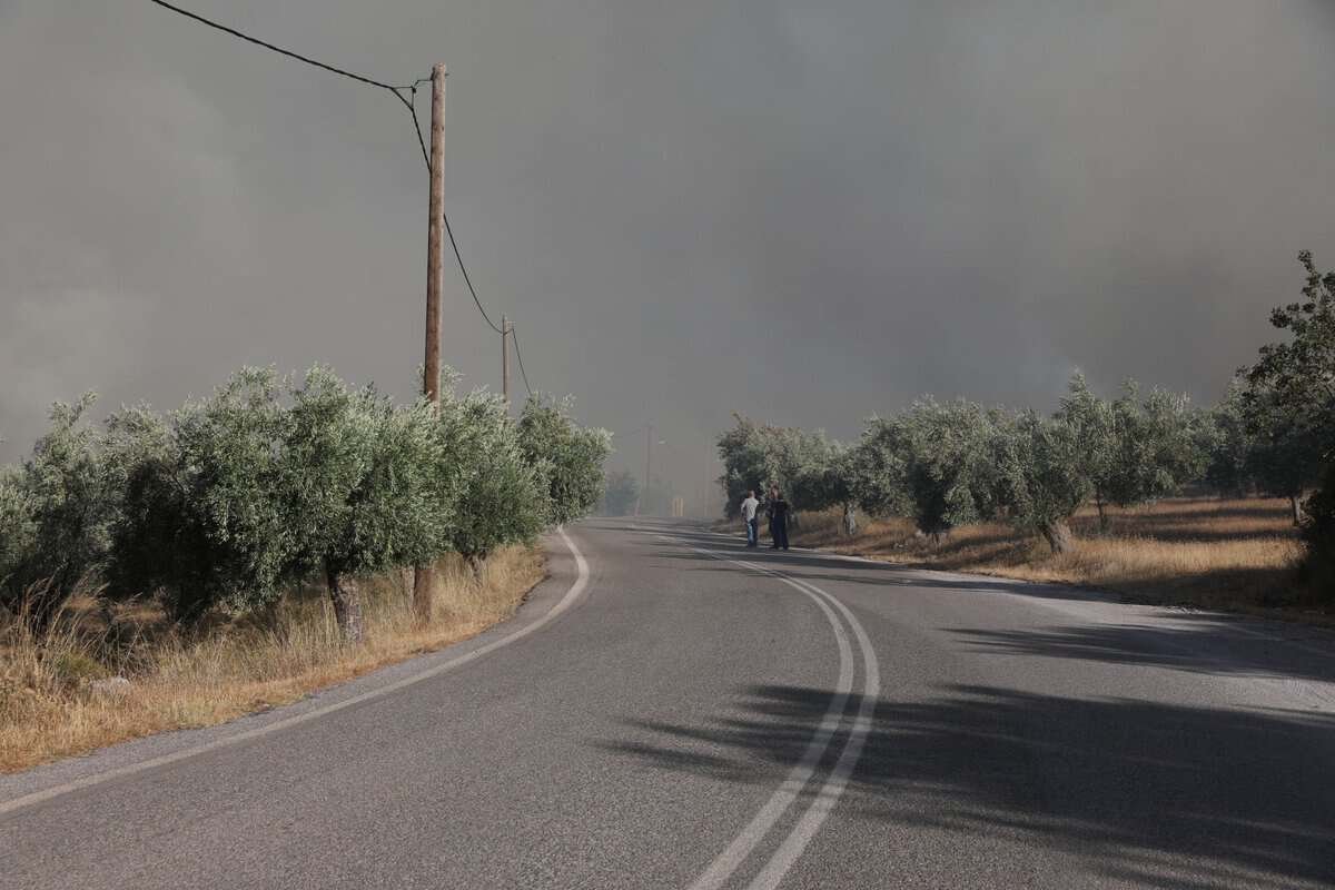 Boeotia'da Yangın: Livadostra'da Şiddetli Alevlenme – 112 Tahliye Uyarısı