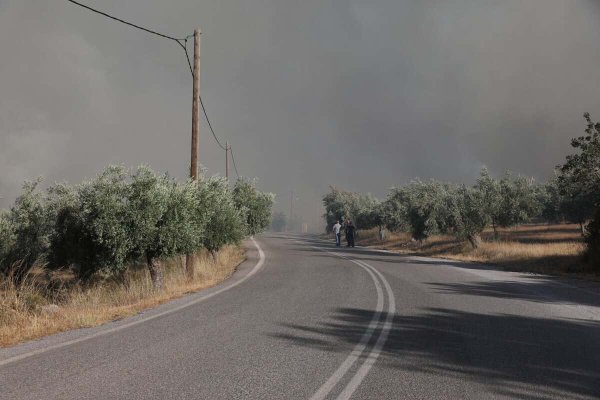 Boeotia'da Yangın: Livadostra'da Şiddetli Alevlenme – 112 Tahliye Uyarısı