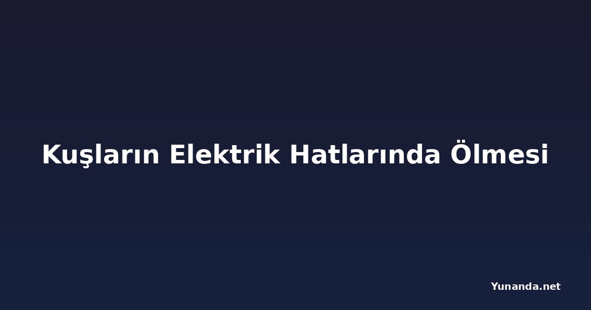 Kuşların Elektrik Hatlarında Ölmesi