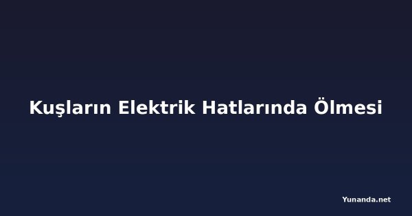 Kuşların Elektrik Hatlarında Ölmesi