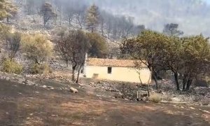 Batı Attika'da Mucize: Başmelek Mikail Şapeli Yangından Zarar Görmeden Kurtuldu
