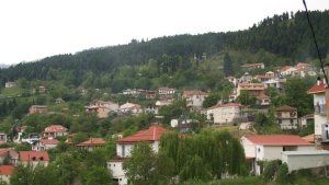Hrisomilia'da Çiftlerin Yüzde 70'i Üç veya Daha Fazla Çocuğa Sahip
