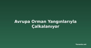 Avrupa Orman Yangınlarıyla Çalkalanıyor