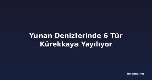 Yunan Denizlerinde 6 Tür Kürekkaya Yayılıyor