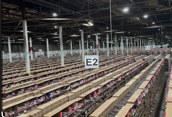 Şirketler Kitapları Yapay Zeka için Alıp İmha Ediyor