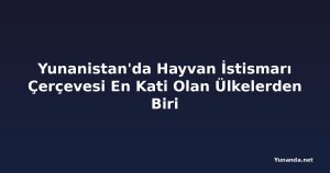 Yunanistan'da Hayvan İstismarı Çerçevesi En Kati Olan Ülkelerden Biri