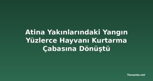 Atina Yakınlarındaki Yangın Yüzlerce Hayvanı Kurtarma Çabasına Dönüştü