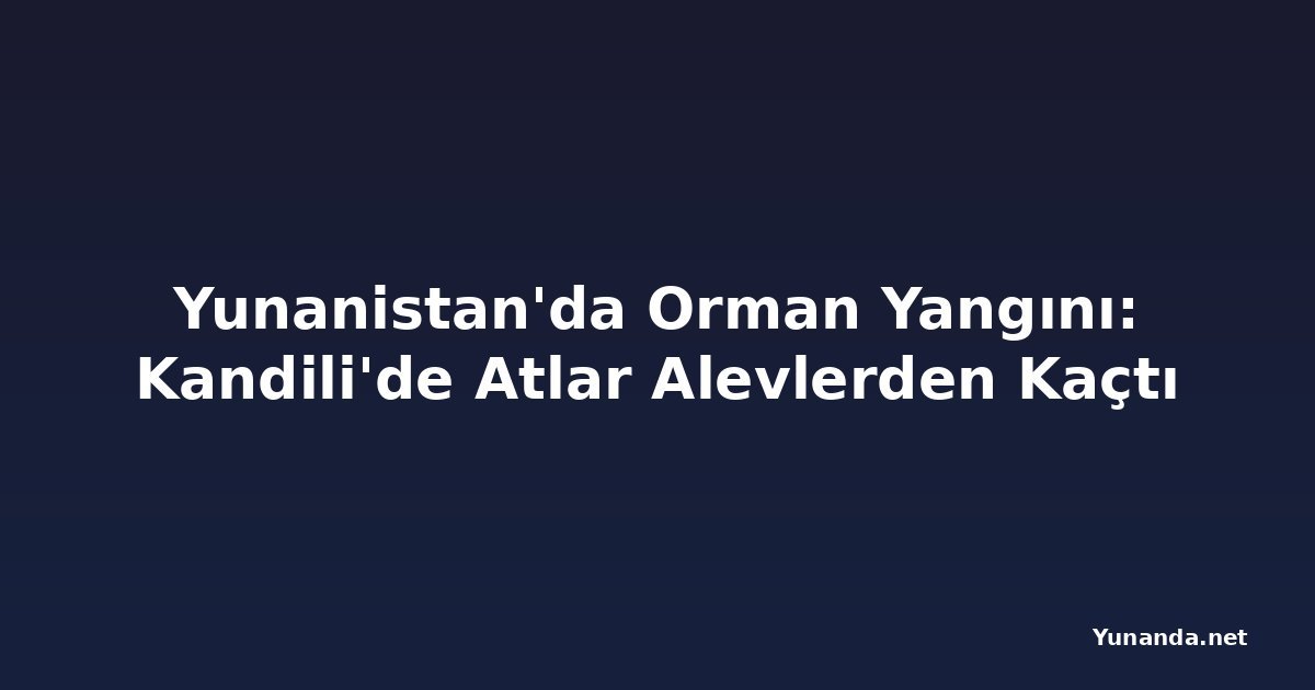 Yunanistan'da Orman Yangını: Kandili'de Atlar Alevlerden Kaçtı