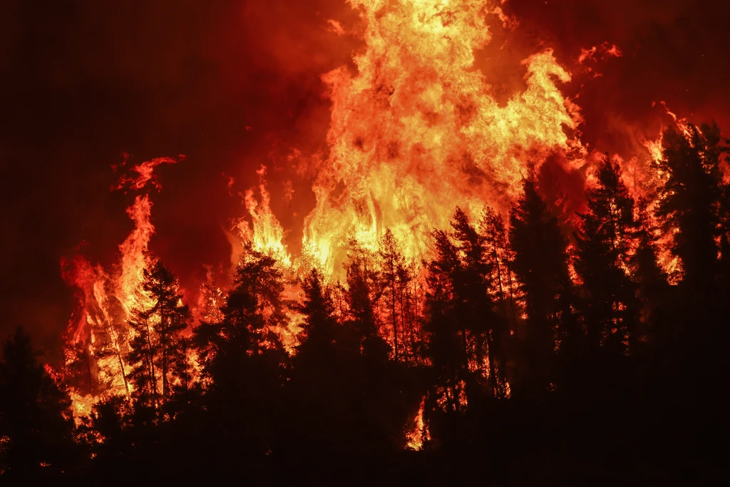 Gouves Köyü Yangını