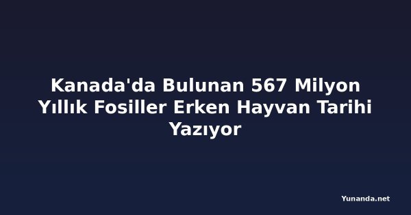 Kanada'da Bulunan 567 Milyon Yıllık Fosiller Erken Hayvan Tarihi Yazıyor
