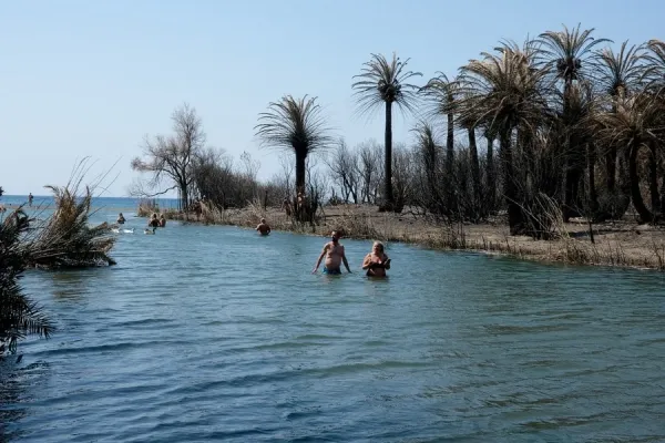 Girit Preveli Palmiye Ormanı'nda Yangın Sonrası Çarpıcı Görüntüler