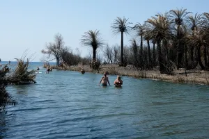 Girit Preveli Palmiye Ormanı'nda Yangın Sonrası Çarpıcı Görüntüler