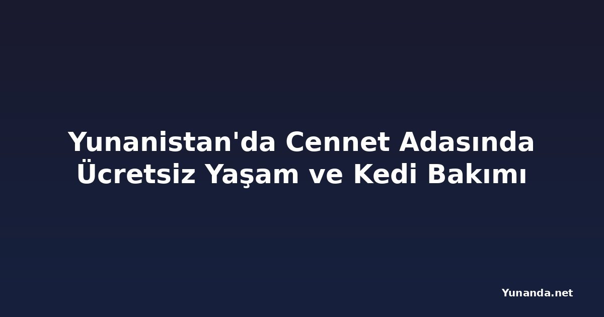 Yunanistan'da Cennet Adasında Ücretsiz Yaşam ve Kedi Bakımı
