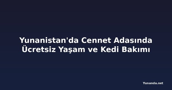 Yunanistan'da Cennet Adasında Ücretsiz Yaşam ve Kedi Bakımı