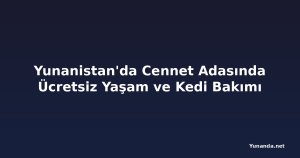 Yunanistan'da Cennet Adasında Ücretsiz Yaşam ve Kedi Bakımı