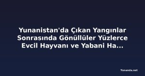 Yunanistan'da Çıkan Yangınlar Sonrasında Gönüllüler Yüzlerce Evcil Hayvanı ve Yabani Hayvanı Kurtardı