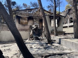 Yunanistan'a Destek için Bir Araya Gelen Yeni Güney Gallerli Yunanlar