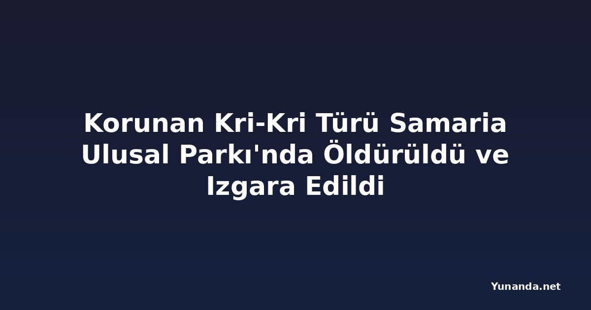 Korunan Kri-Kri Türü Samaria Ulusal Parkı'nda Öldürüldü ve Izgara Edildi