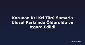 Korunan Kri-Kri Türü Samaria Ulusal Parkı'nda Öldürüldü ve Izgara Edildi
