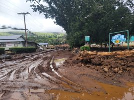 Hawaii'de Fırtınada Hayatını Kaybedenler Arasında 93 Yaşındaki Eski Öğretmen de Var; Adalılar Enkazı Kaldırmakta Zorlanıyor