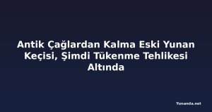 Antik Çağlardan Kalma Eski Yunan Keçisi, Şimdi Tükenme Tehlikesi Altında