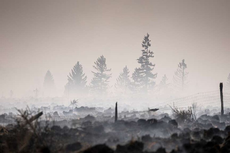 Smoke rises from a scorched field as a wildfire burns near Waimes, Belgium, Monday, Aug. 17, 2026. (AP Photo/Valentin Bianchi)