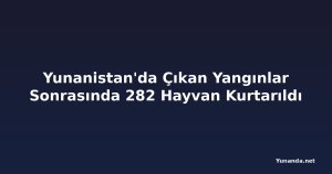 Yunanistan'da Çıkan Yangınlar Sonrasında 282 Hayvan Kurtarıldı