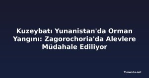 Kuzeybatı Yunanistan'da Orman Yangını: Zagorochoria'da Alevlere Müdahale Ediliyor