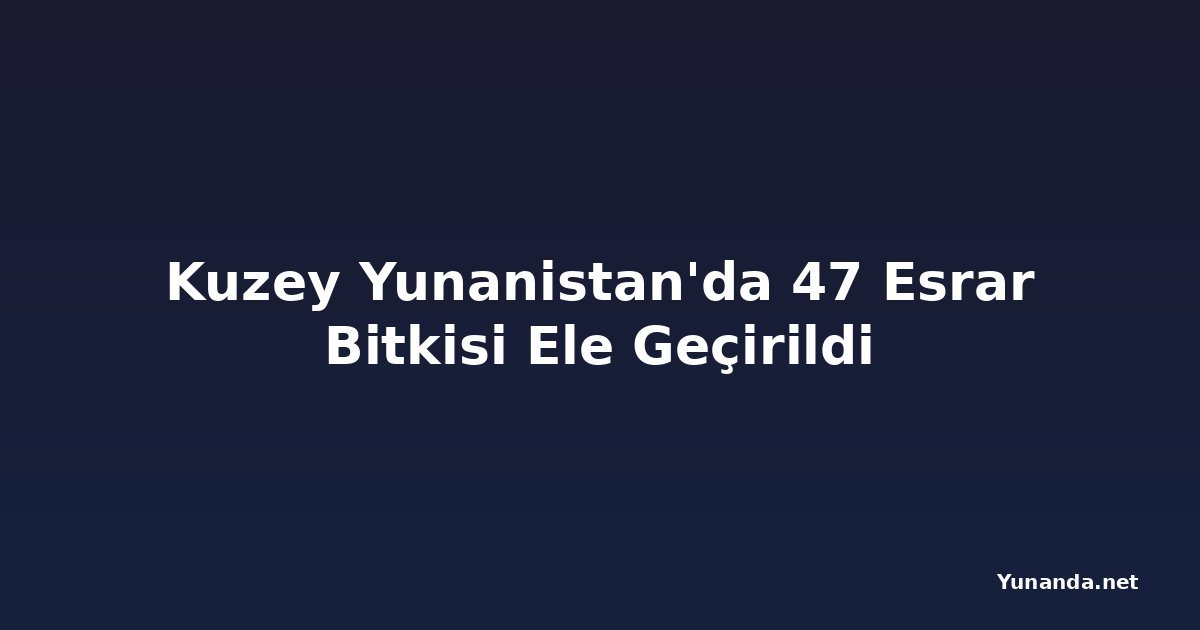 Kuzey Yunanistan'da 47 Esrar Bitkisi Ele Geçirildi
