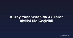 Kuzey Yunanistan'da 47 Esrar Bitkisi Ele Geçirildi