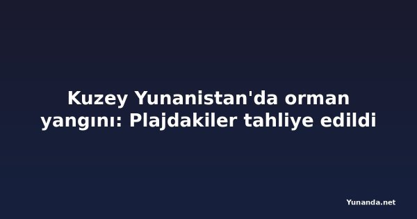 Kuzey Yunanistan'da orman yangını: Plajdakiler tahliye edildi