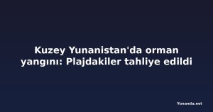 Kuzey Yunanistan'da orman yangını: Plajdakiler tahliye edildi
