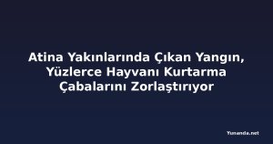 Atina Yakınlarında Çıkan Yangın, Yüzlerce Hayvanı Kurtarma Çabalarını Zorlaştırıyor