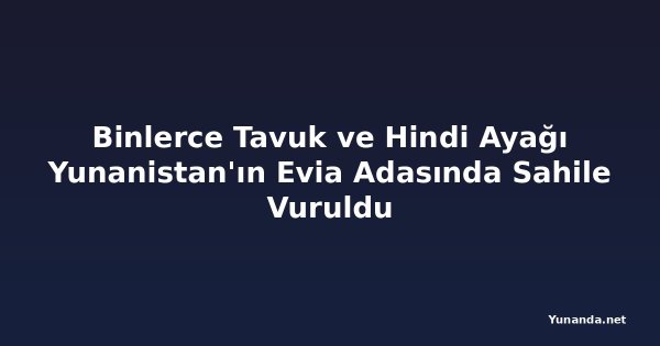 Binlerce Tavuk ve Hindi Ayağı Yunanistan'ın Evia Adasında Sahile Vuruldu
