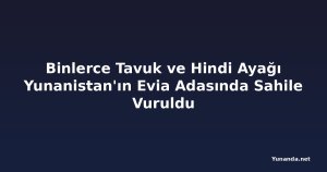 Binlerce Tavuk ve Hindi Ayağı Yunanistan'ın Evia Adasında Sahile Vuruldu