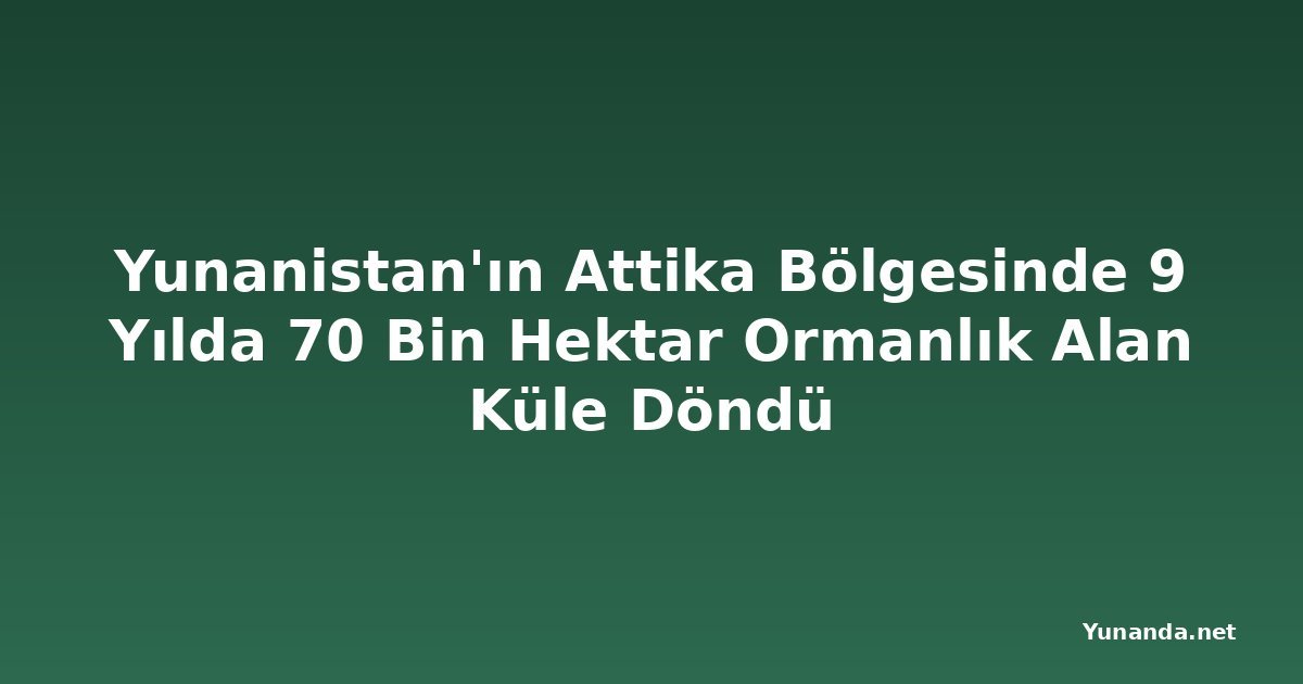 Yunanistan'ın Attika Bölgesinde 9 Yılda 70 Bin Hektar Ormanlık Alan Küle Döndü