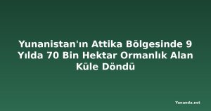 Yunanistan'ın Attika Bölgesinde 9 Yılda 70 Bin Hektar Ormanlık Alan Küle Döndü