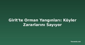 Girit'te Orman Yangınları: Köyler Zararlarını Sayıyor
