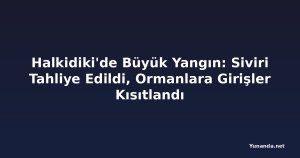 Halkidiki'de Büyük Yangın: Siviri Tahliye Edildi, Ormanlara Girişler Kısıtlandı