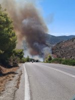 Salamina'da İki Büyük Yangın Çıktı: Alevler Evlere Yakın, Denizden Evacuations Hazırlanıyor