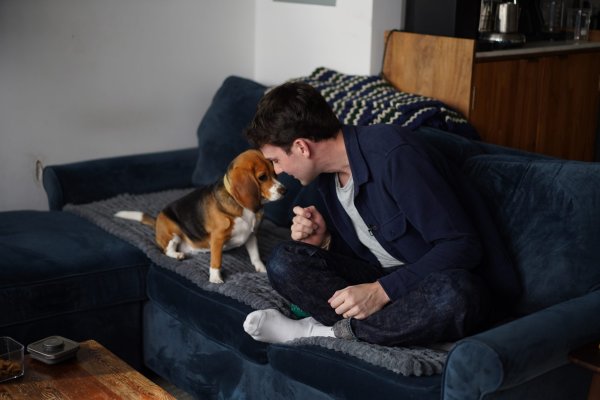 Gen Düzenleme Yöntemiyle Alerji Yapmayan Köpek Üretildi: Bailey ve Alfie