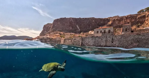 26 Ağustos'un En Çarpıcı Fotoğrafları: Yunanistan'da Caretta Caretta, Tennessee'de Dolly Parton Anması